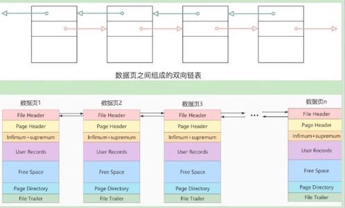 高級篇七 InnoDB數據存儲結構