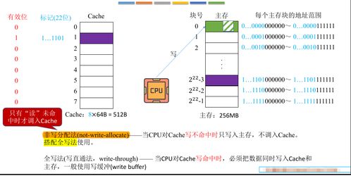 計算機組成原理之存儲系統 Cache寫策略