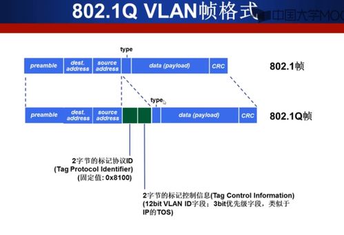 計算機網絡數據鏈路層